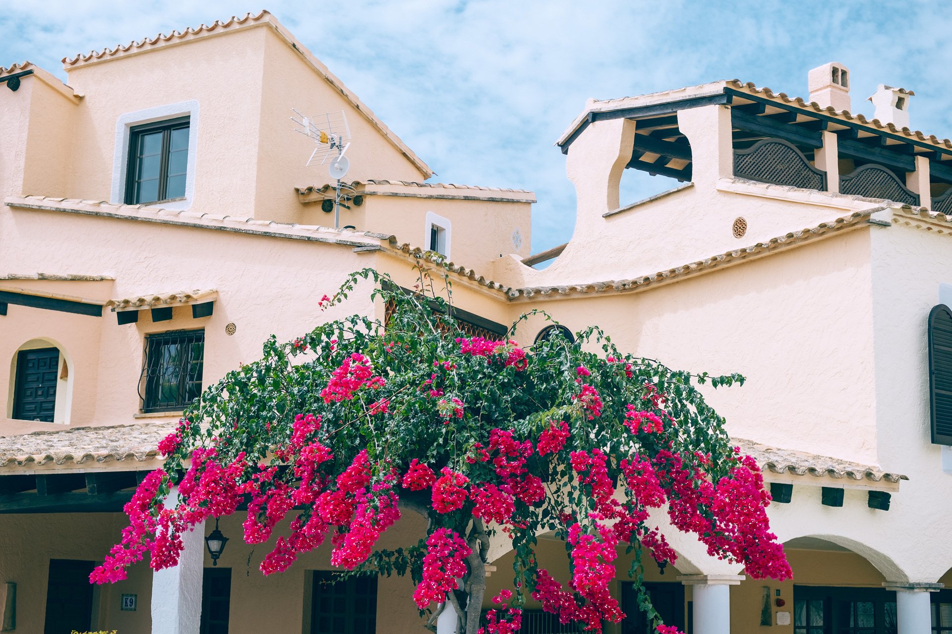 Edificio de paredes claras con tejados de teja, arcos, ventanas y una terraza cubierta, junto a una planta de abundantes flores rosas.