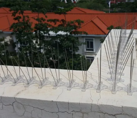 instalacion de pinchos anti palomas en soria